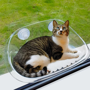 SunnySpot Capsule - The Ultimate Cat Window Perch