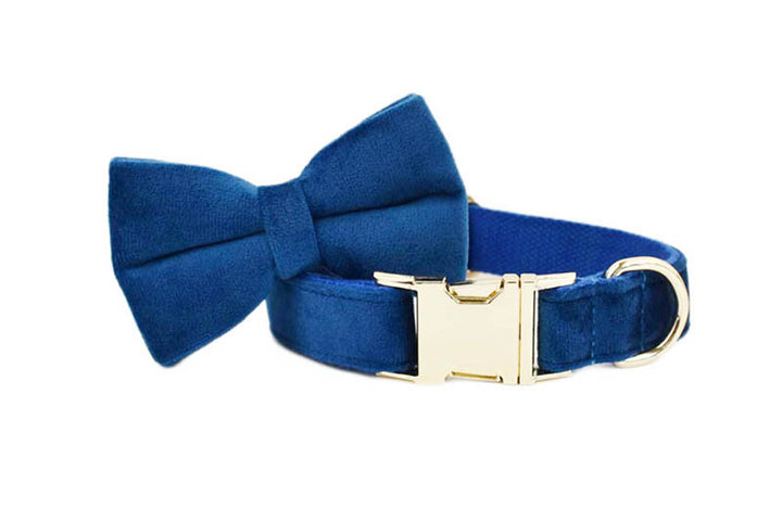 Velvet Pet - Personalized Dog Collar Harness set - Royal Blue