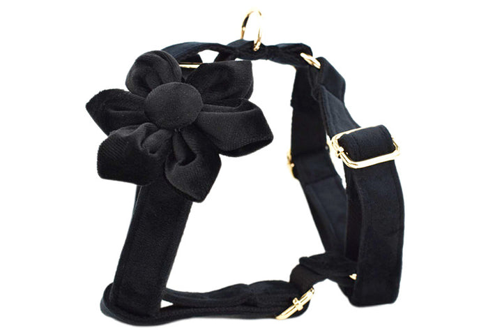 Velvet Pet - Personalized Dog Collar Harness set - Black